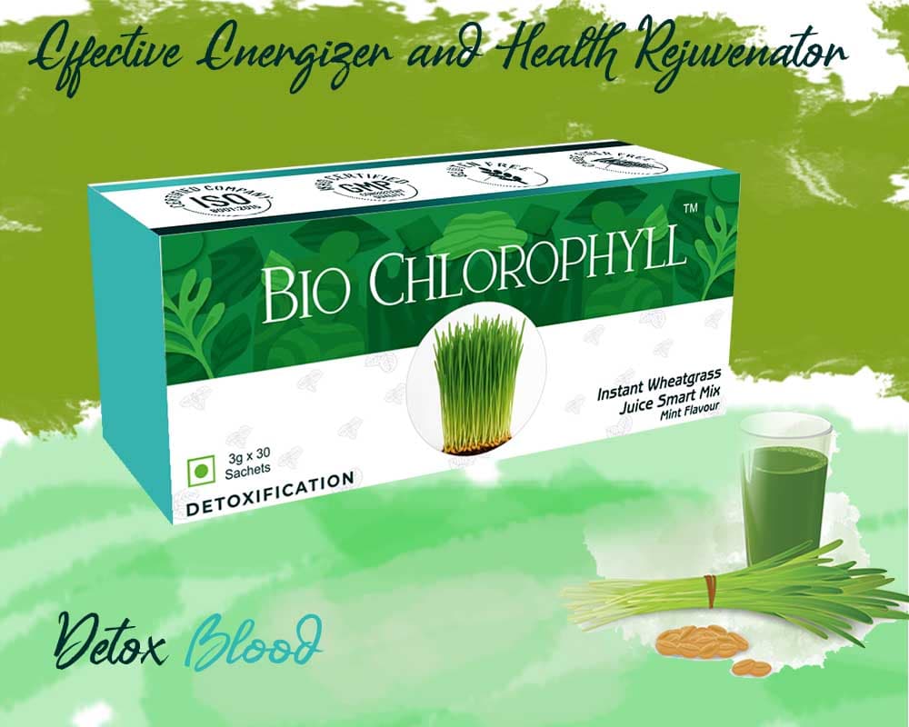Wheat Grass Extract Biochlorophyll
